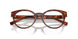 8002 - Tortoise