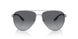 1BC06G - Silver - Polar Grey Gradient