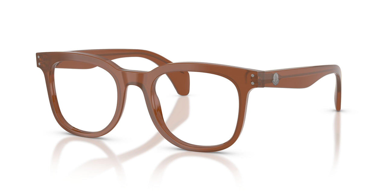 3029 - Brown