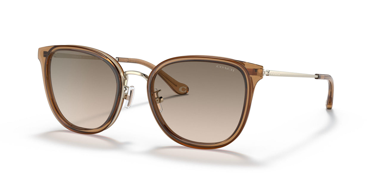 565413 - Brown - Light Brown Grey Gradient