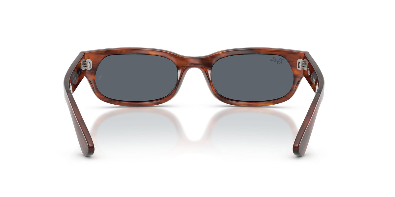 954/R5 - Brown - Blue