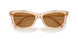 109273 - Brown - Bronze