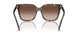 201613 - Tortoise - Brown Gradient