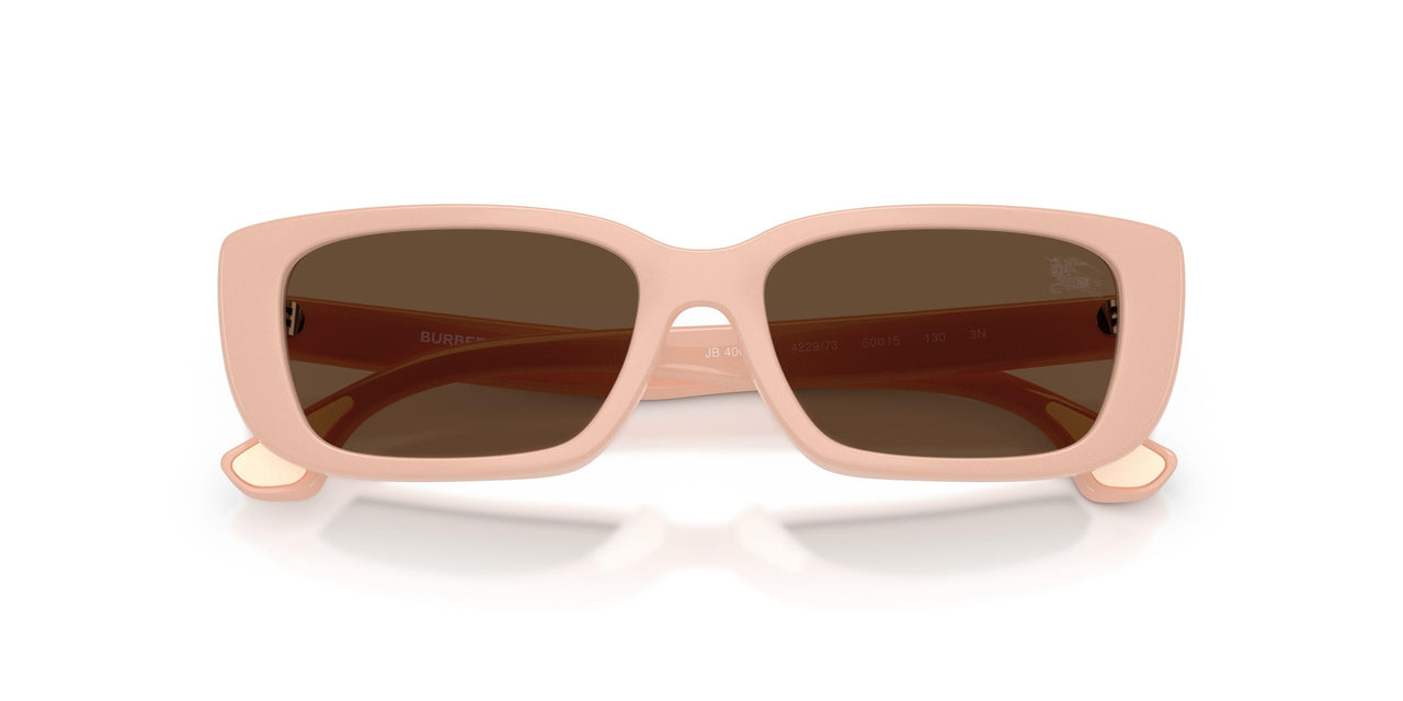 422973 - Pink - Dark Brown