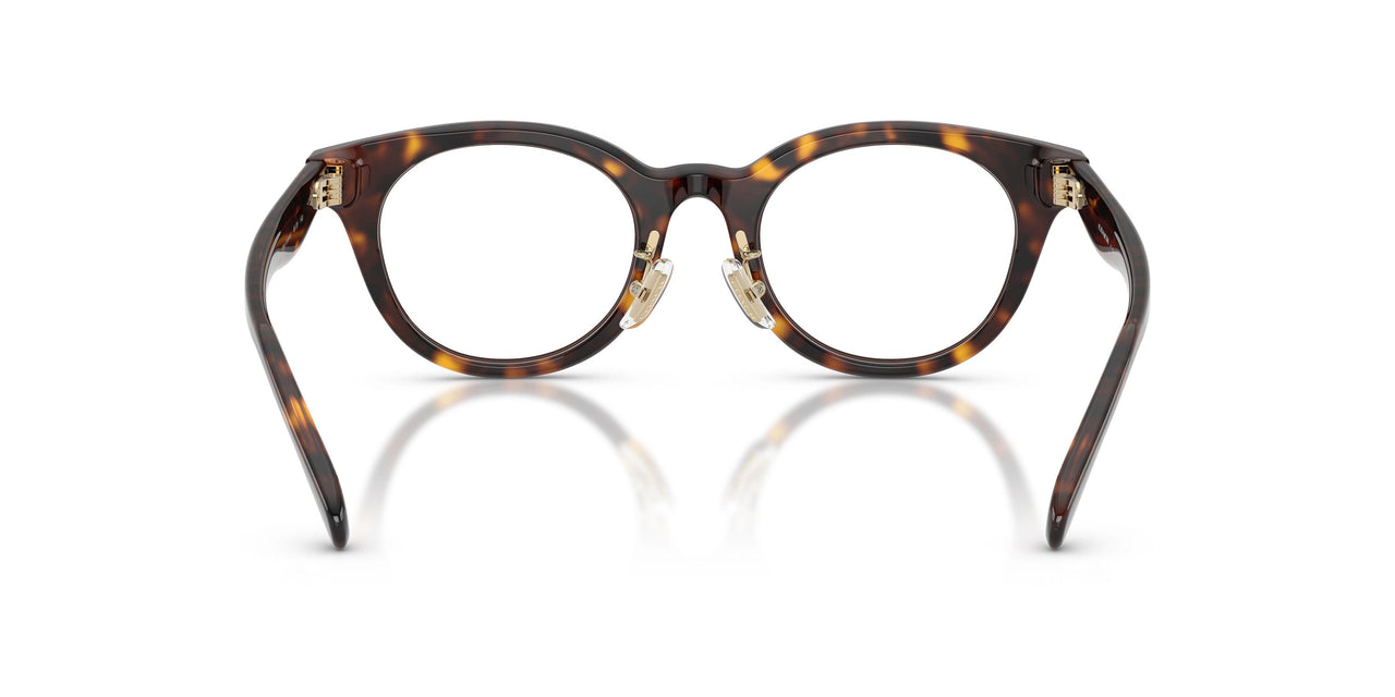 5120 - Tortoise
