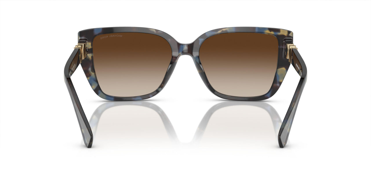 395213 - Bright Blue Tortoise - Brown Gradient