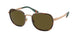 Polo 3151 Sunglasses