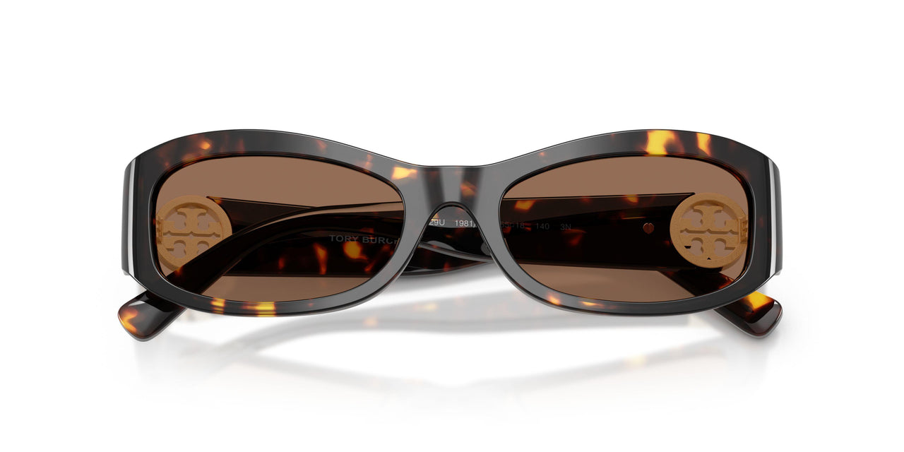 198173 - Tortoise - Brown