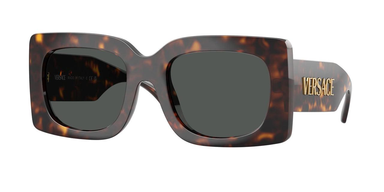 Versace 4496U Sunglasses