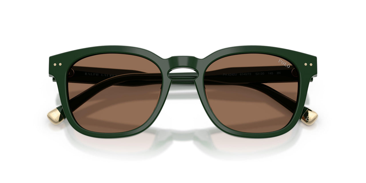 614073 - Green - Dark Brown