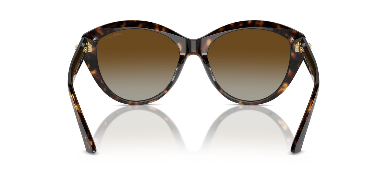 5002T5 - Tortoise - Polarized Gradient Brown