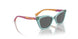 303287 - Transparent Sage - Dark Grey