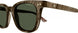 003 - Brown - Green