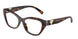 8015 - Tortoise