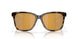 200917 - Tortoise - Gold Mirror