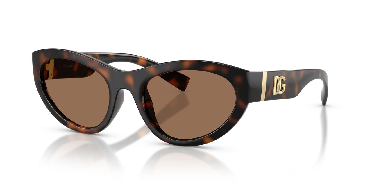 Dolce & Gabbana 6207 Sunglasses