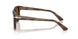 120857 - Tortoise - Polar Brown