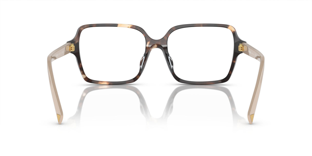 07R1O1 - Brown
