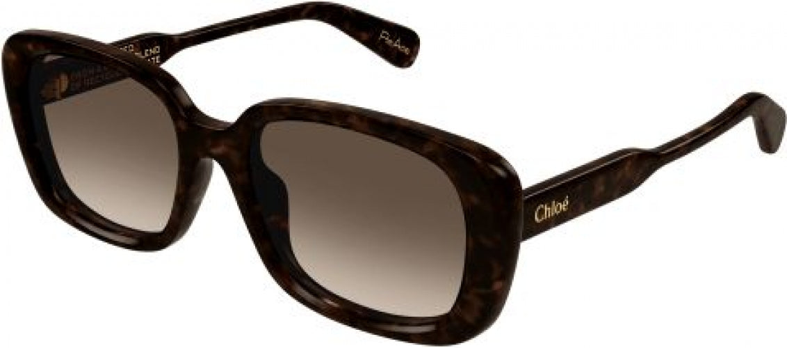 002 - Havana - Brown