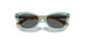 303287 - Transparent Sage - Dark Grey