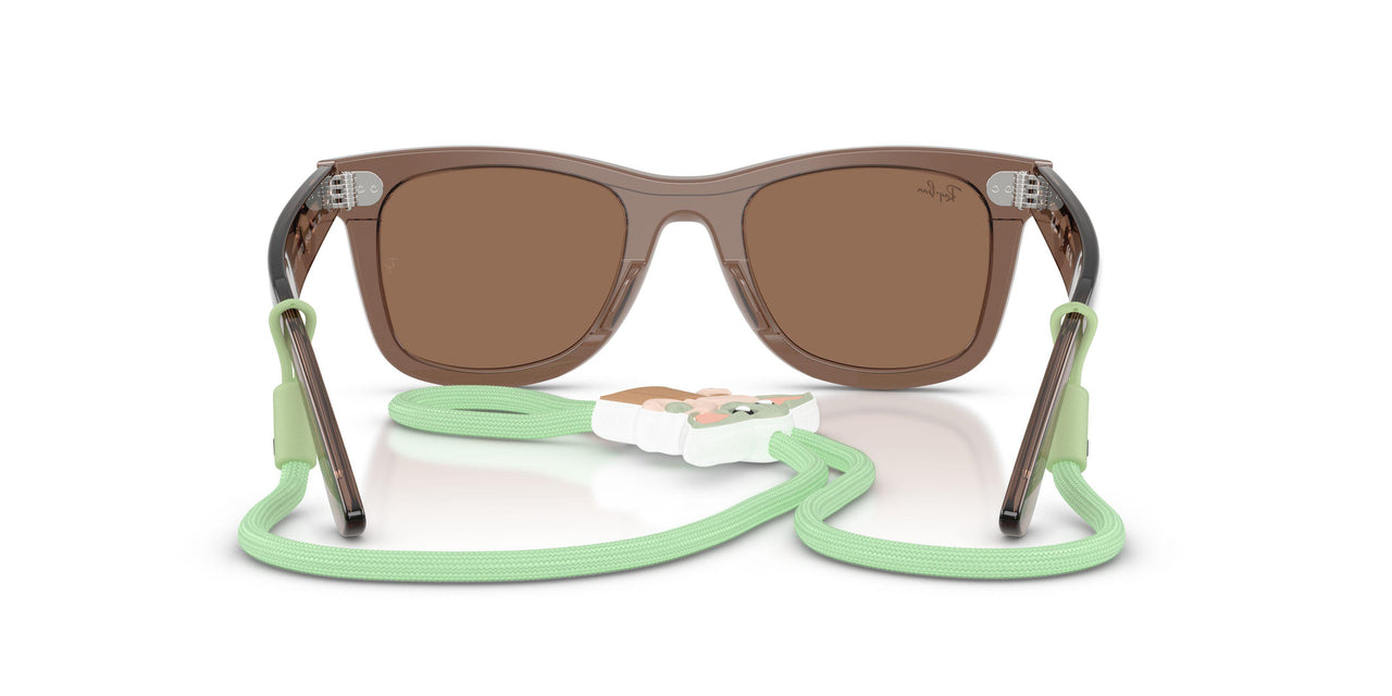 722773 - Transparent Brown - Dark Brown