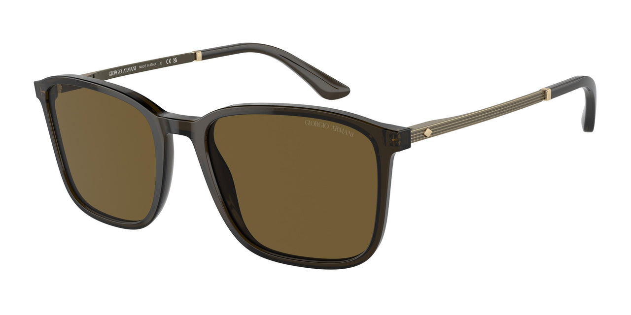 503073 - Green - Dark Brown