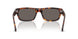 24/B1 - Tortoise - Dark Grey