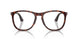 24/GH - Tortoise - Transitions 8 Grey
