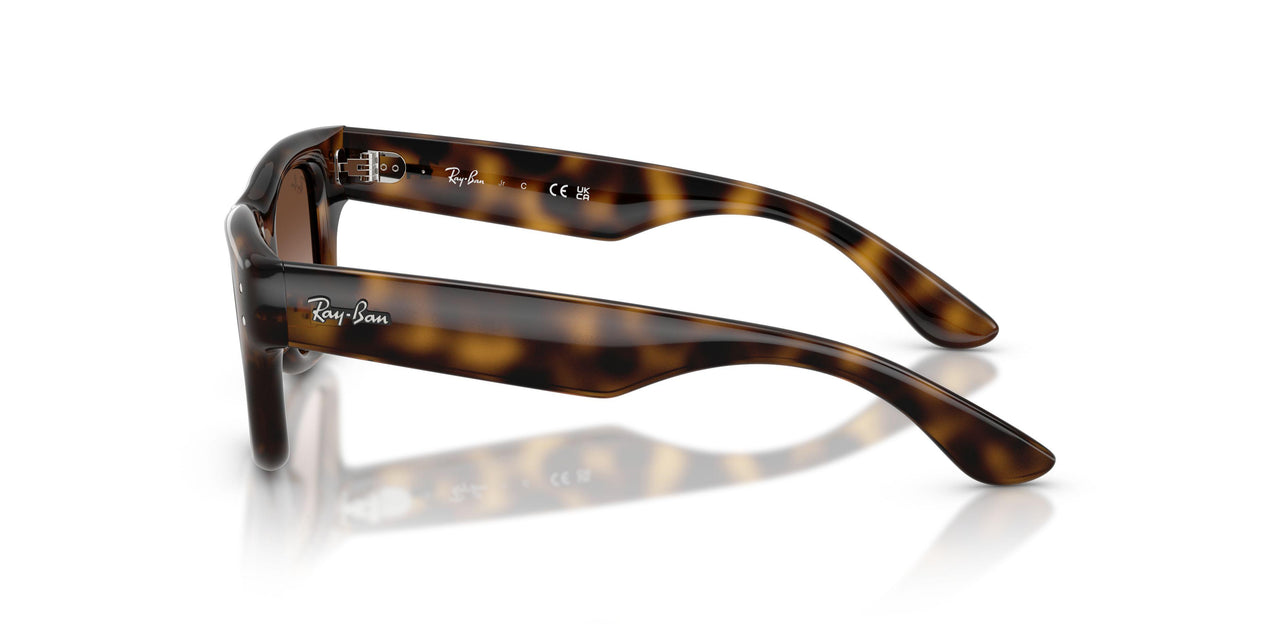152/13 - Tortoise - Light Brown Gradient Dark Brow