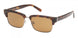 ABERCROMBIE & FITCH 00033 Sunglasses
