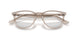 8449 - Brown - Clear