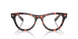 8118 - Tortoise - Clear