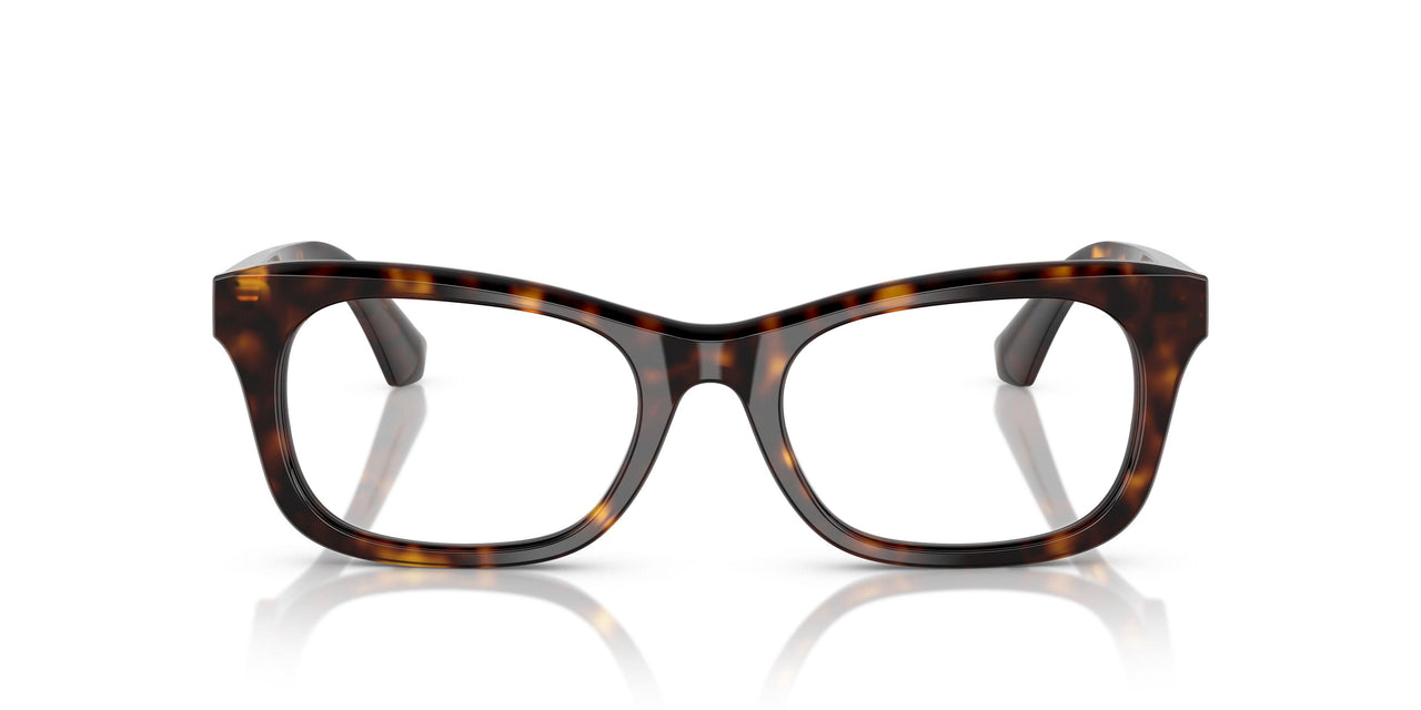 3002 - Brown