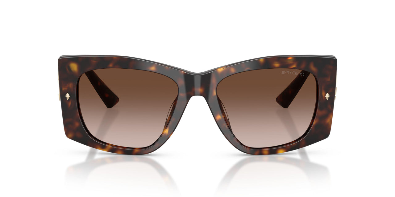 500213 - Tortoise - Brown Gradient