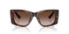 500213 - Tortoise - Brown Gradient