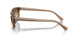 664051 - Brown - Clear Gradient Brown