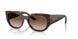 W65613 - Brown - Gradient Brown
