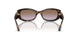 W65668 - Brown - Violet Gradient Brown