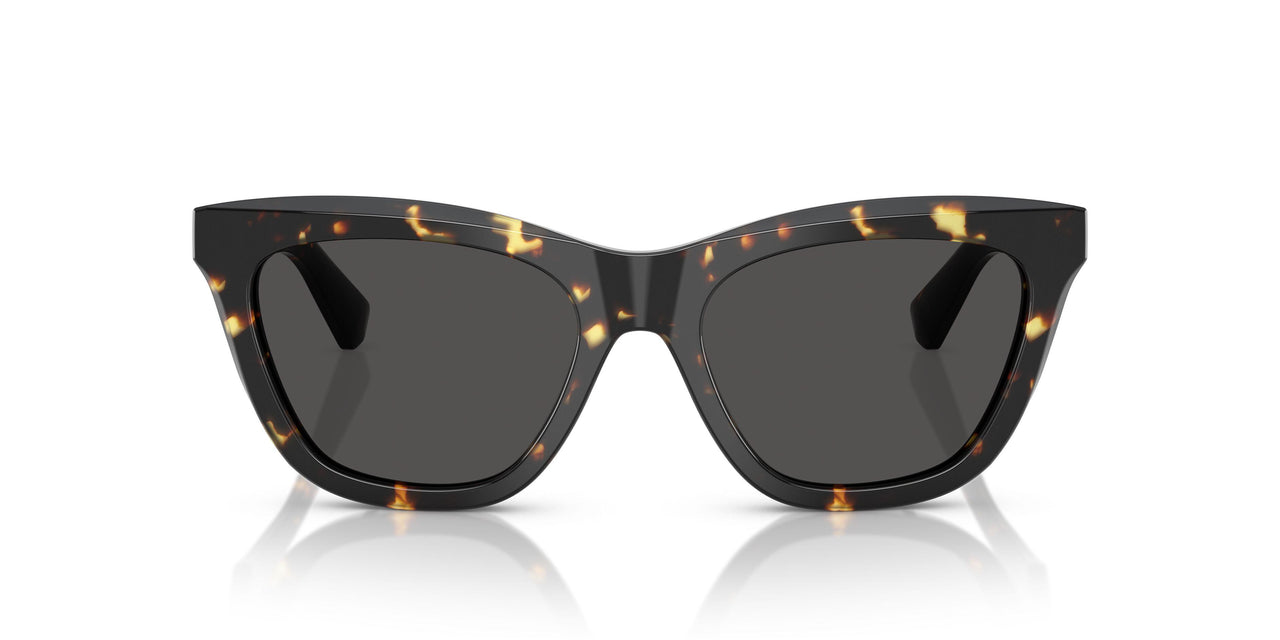 410687 - Tortoise - Dark Grey