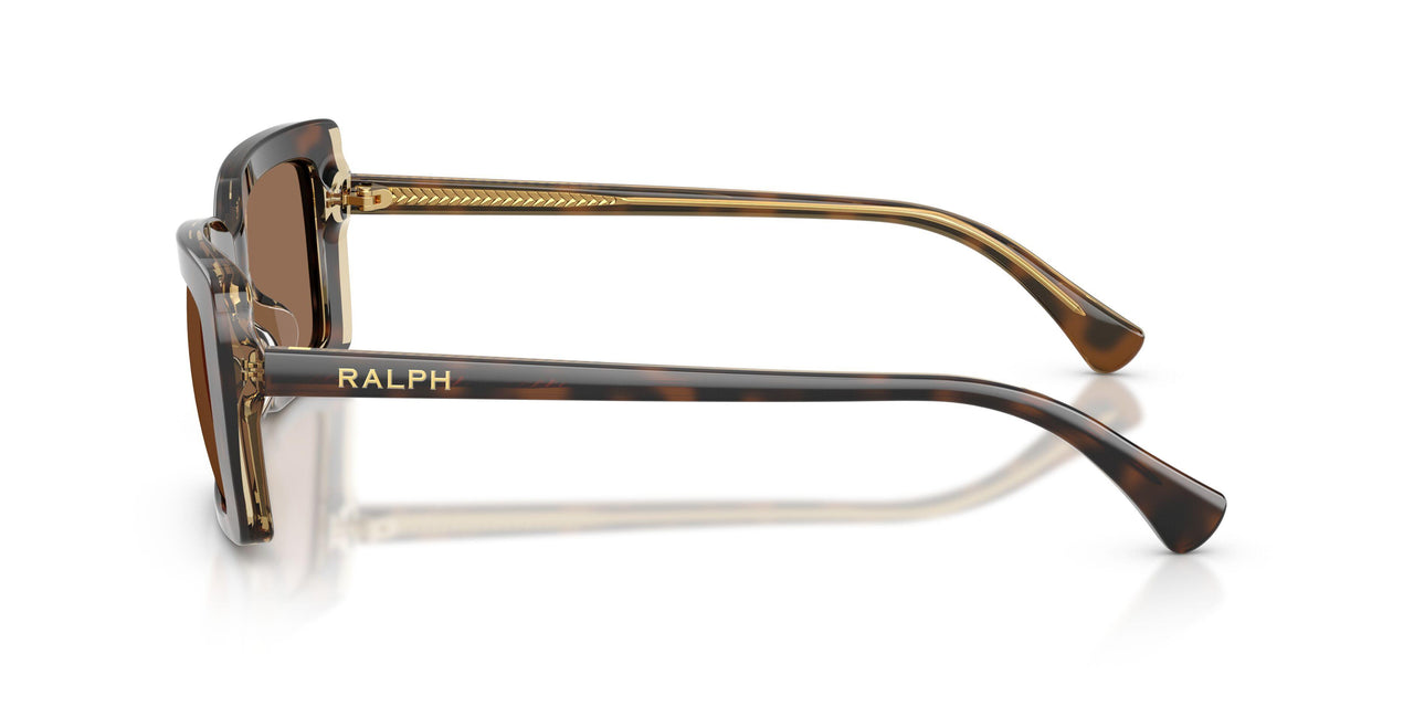 629473 - Brown - Brown
