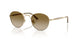 341713 - Gold - Gradient Brown
