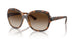 150813 - Havana - Brown Gradient