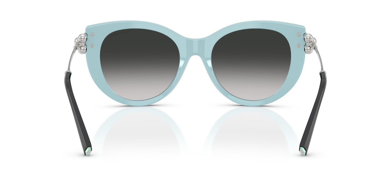 80553C - Black - Grey Gradient