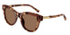 Dolce & Gabbana 4518 Sunglasses