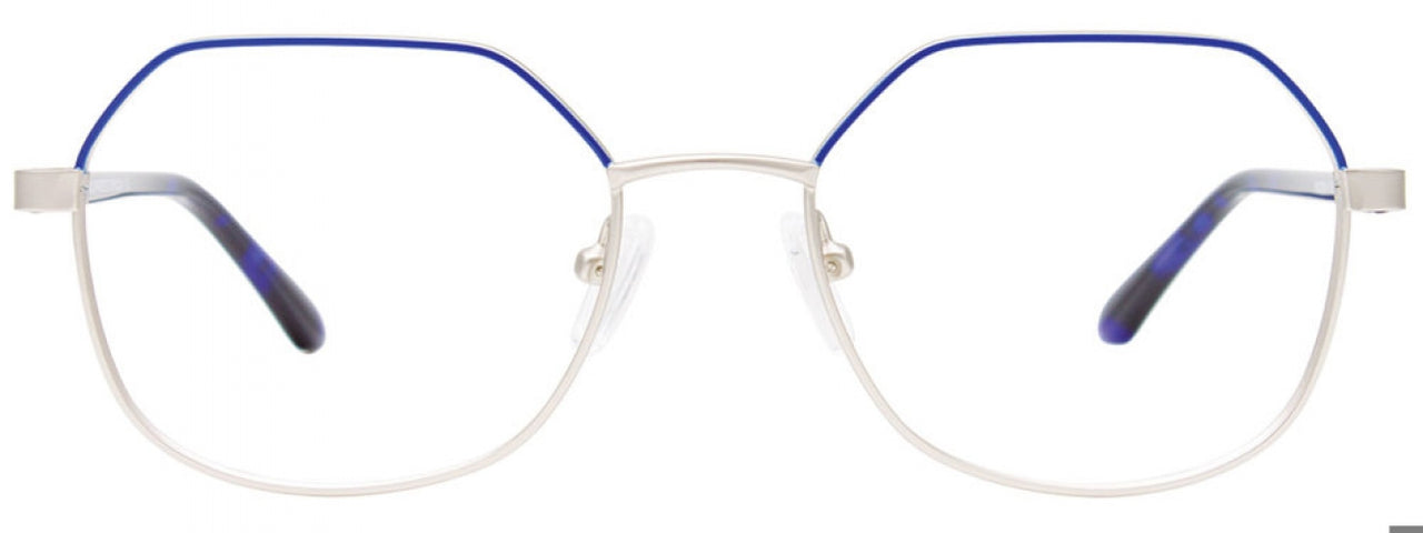50 - Blue & Silver / Dark Blue Tortoise