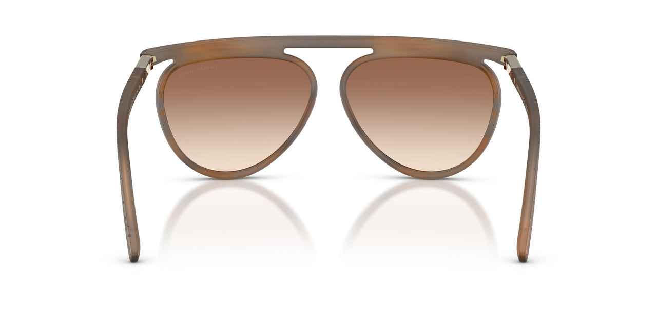 642913 - Brown - Brown Gradient