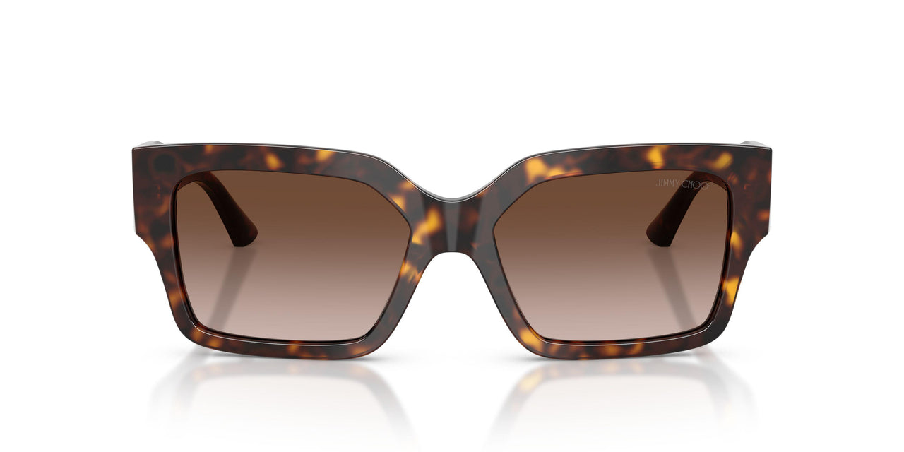500213 - Tortoise - Brown Gradient