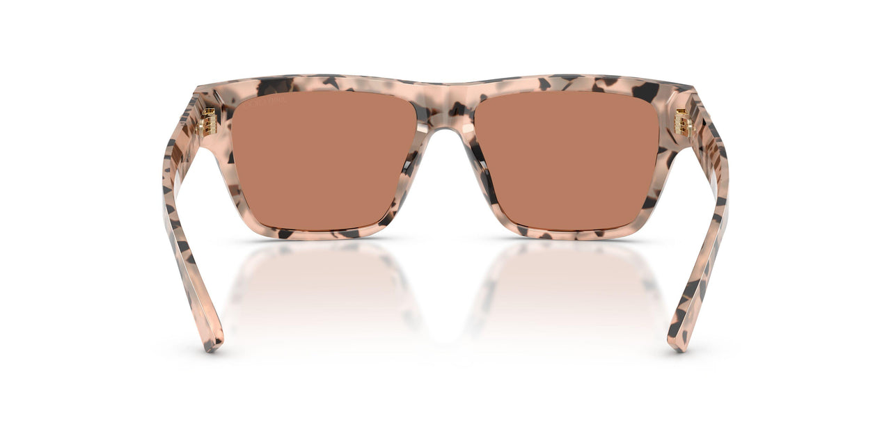 508073 - Tortoise - Dark Brown