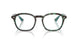 8486 - Tortoise - Clear
