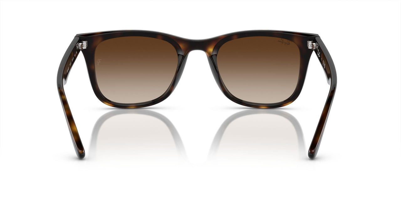 710/13 - Tortoise - Brown